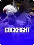 Cockfight
